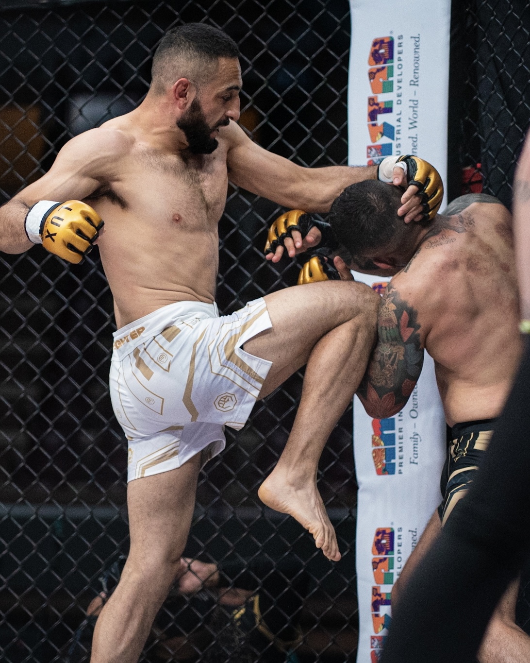 El espectáculo de las Artes Marciales Mixtas llega a Puebla con LUX Fight League
