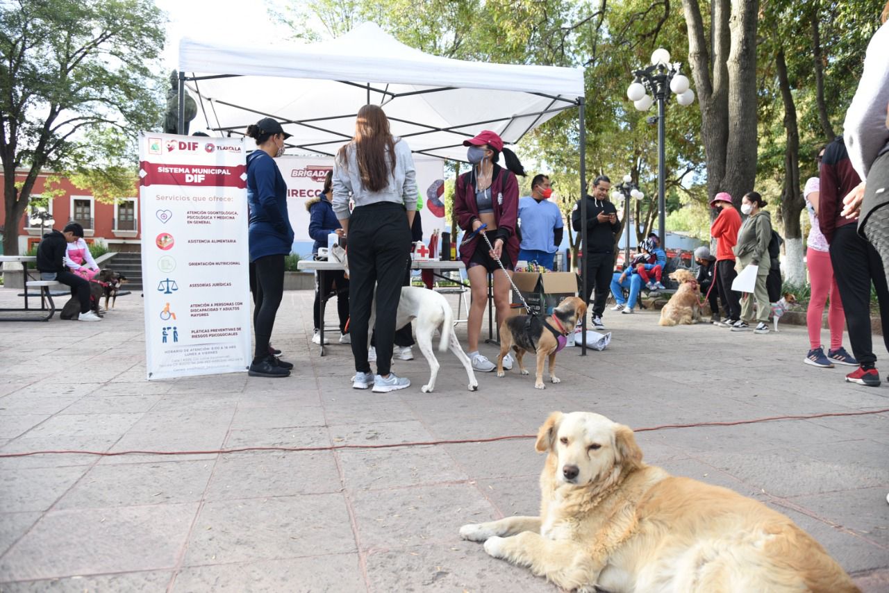Ayuntamiento de Tlaxcala celebró a Padres de las comunidades con actividades físicas