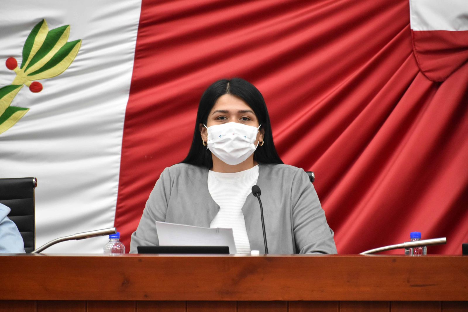 Ley de zonas conurbadas, propone diputada priísta