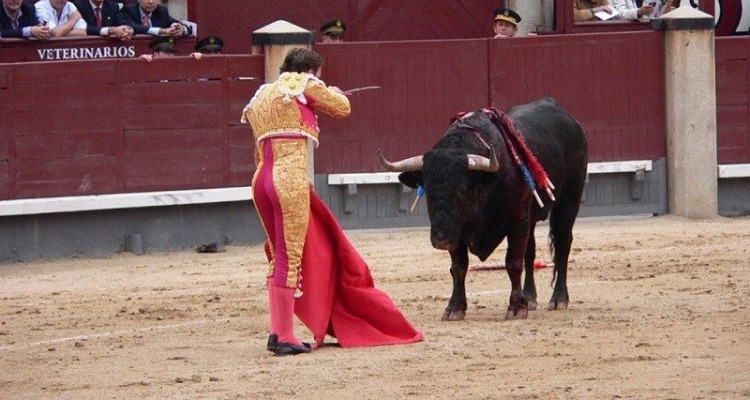 Surge nuevamente la propuesta de prohibir las corridas de toros en Puebla
