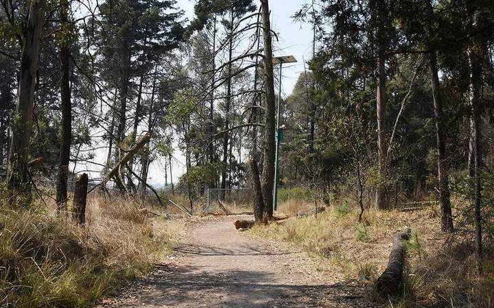 UATx entrega destina mil árboles a parque de Tlaxcala