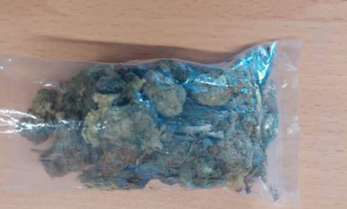 Detiene SSC en Totolac a persona por posesión de marihuana