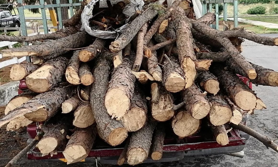 Asegura Policía Estatal dos camionetas abandonadas con material forestal