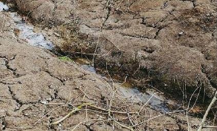 Tlaxcala entre los estados con riesgo de quedarse sin agua