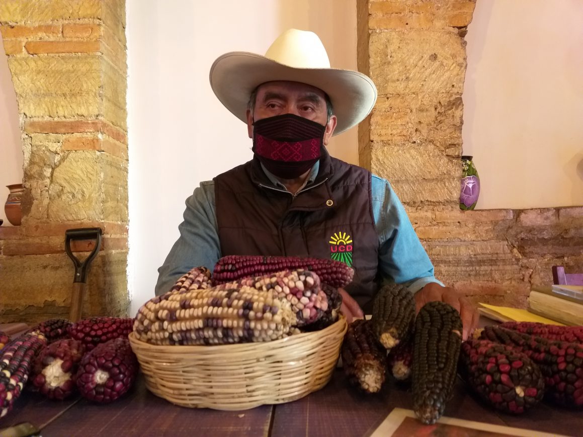 Necesario un programa de rescate al campo: CAP