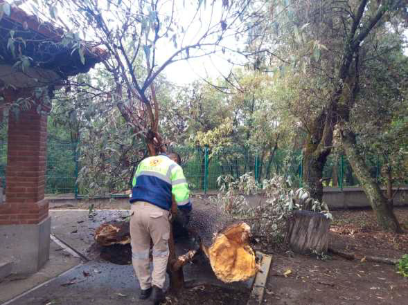 Refuerza Coordinación Estatal De Protección Civil servicios a la ciudadanía tlaxcalteca