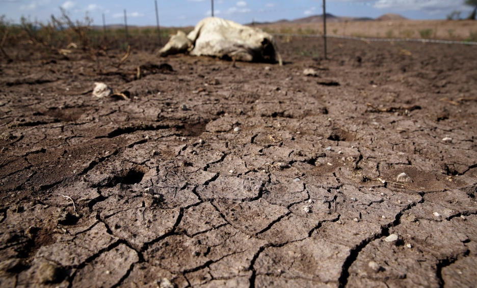 Monitor de Sequía de México informa que sequía en territorio nacional alcanza 66.21%