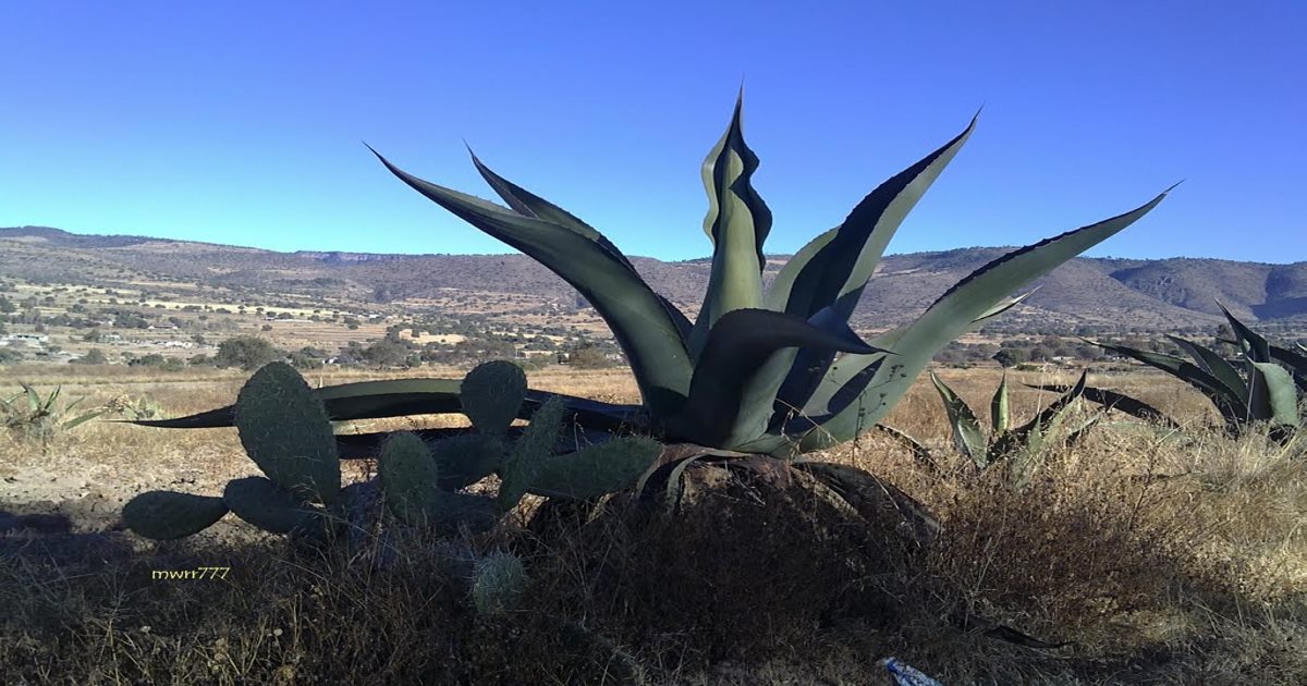 Tlaxcala no presento sequias según SMN