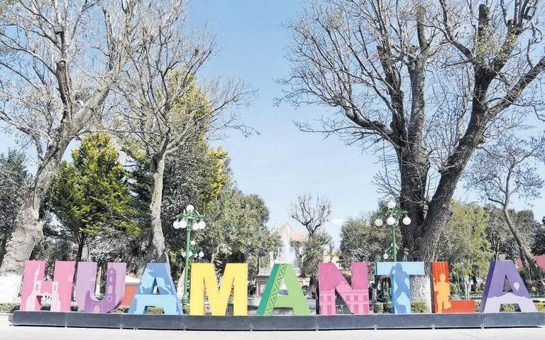 Autoridades buscan remplazar los fresnos ubicados en el Parque Juárez de Huamantla