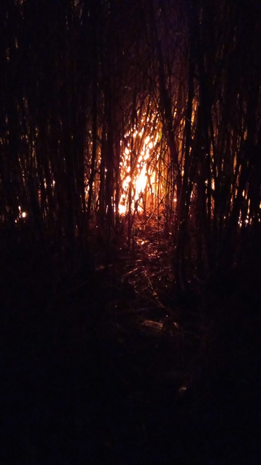 Atienden autoridades incendio en Zacaltelco