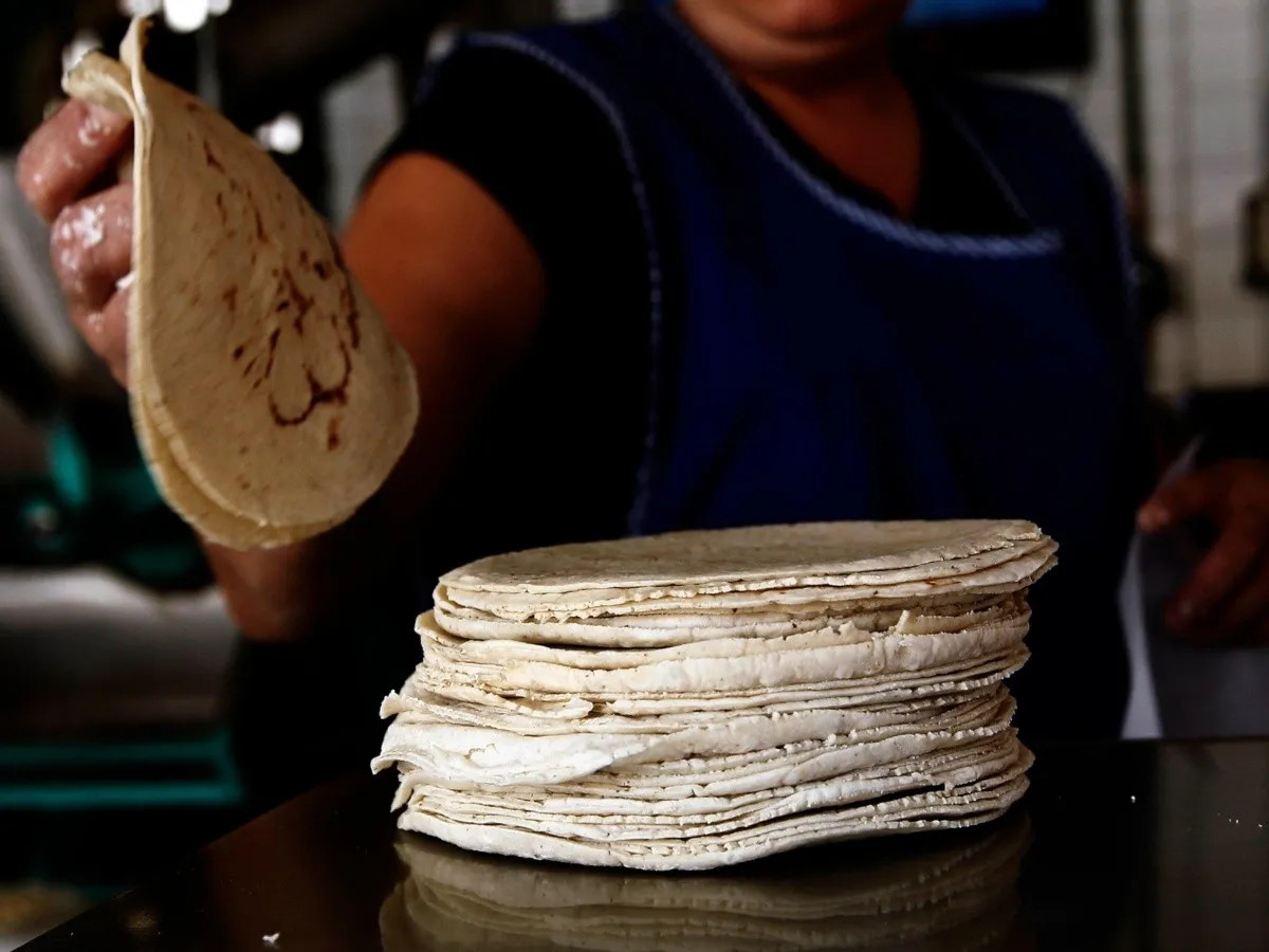 Aumento del precio en la tonelada de maíz podría reflejarse en unos días en el costo del kilo