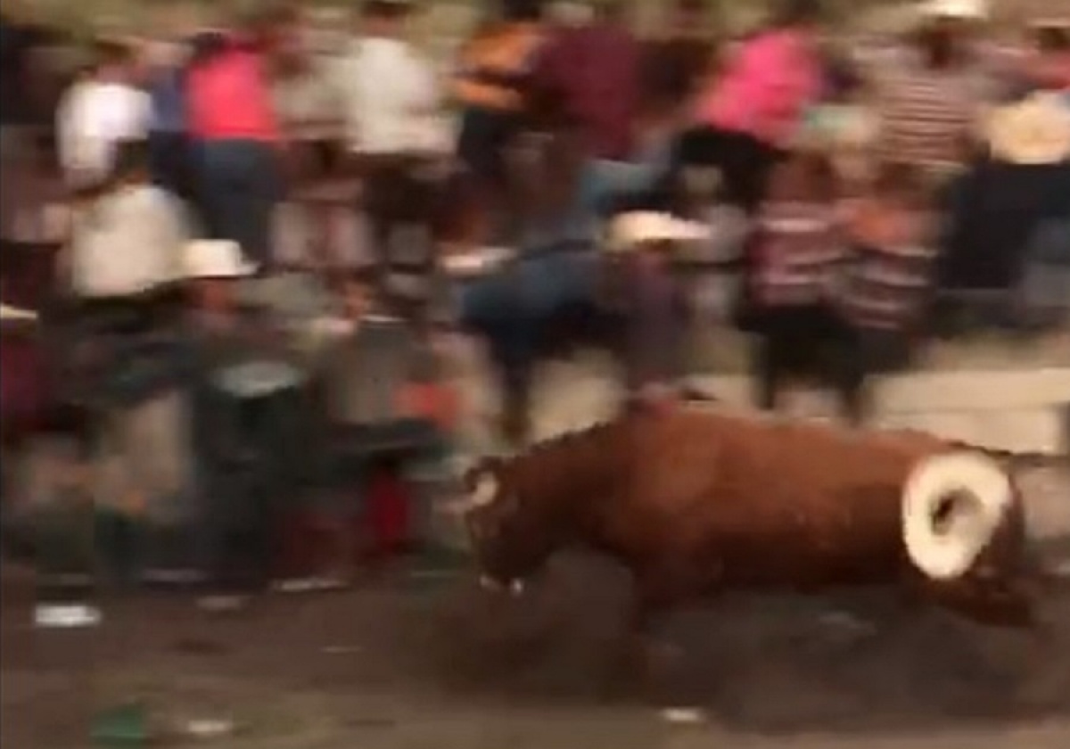 Toro se escapa del ruedo durante jaripeo y se proyecta sin control contra los asistentes en Puebla