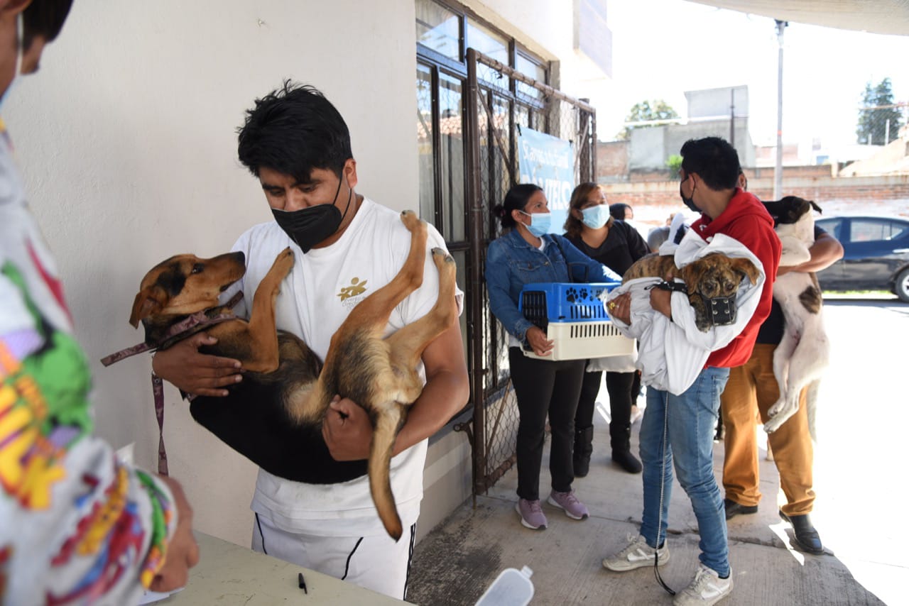 Preparan otra jornada de vacunación animal en Capital Tlaxcalteca