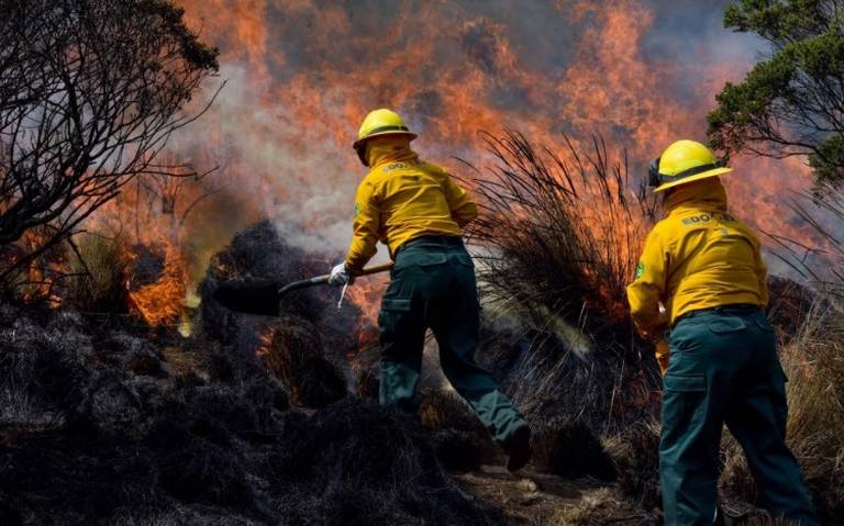 Puebla reporta 3 incendios forestales activos en 3 de sus municipios