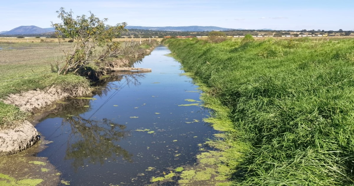 Suman esfuerzos SMA y el IMTA para mejorar la calidad del agua en Tlaxcala