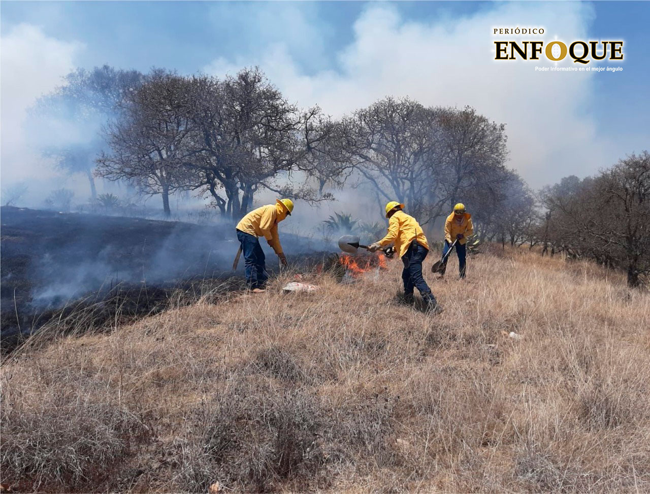 Secretaría del Medio Ambiente pide a la población evitar incendios forestales