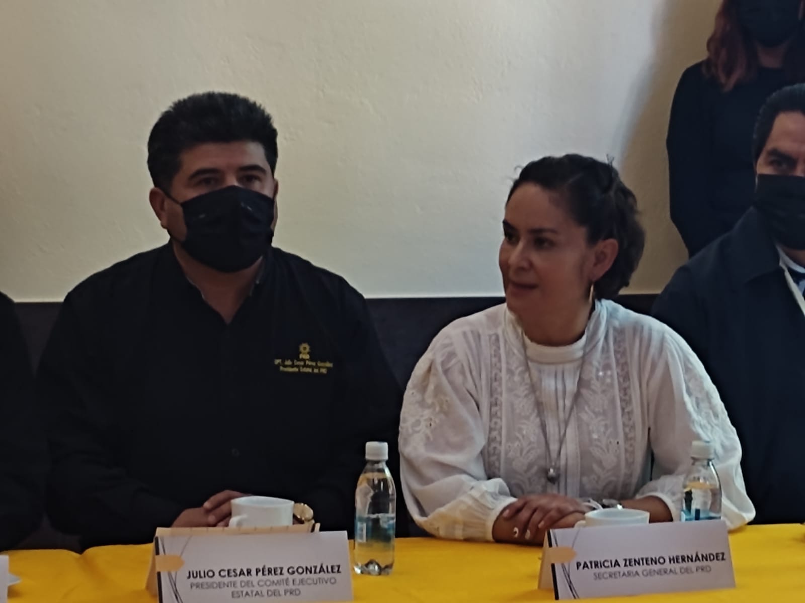 Tiene PRD nueva secretaria general, es Patricia Zenteno