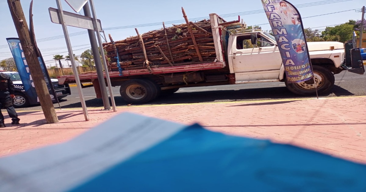 SSC detuvo a presunto responsable de transporte ilícito de recurso forestal