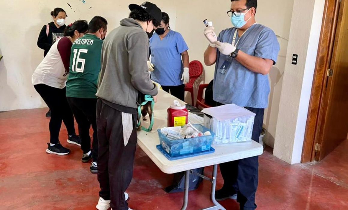 Concluye en Tlaxcala Capital jornada de esterilización canina y felina