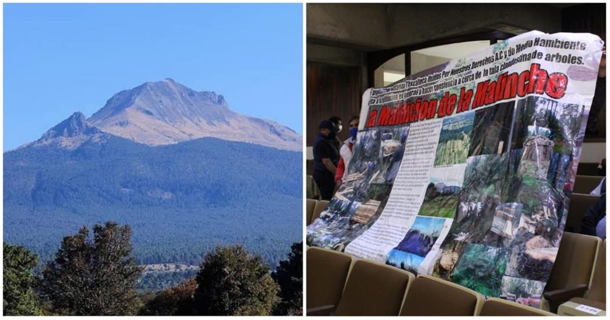 Exigen combate efectivo a la tala en la Malinche