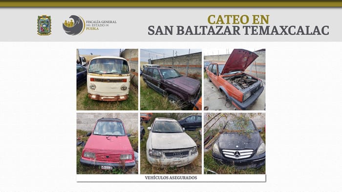 cateo texmelucan