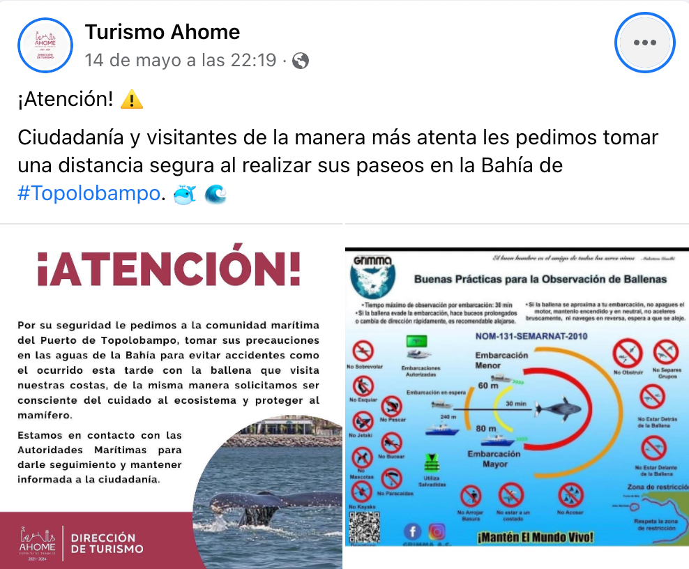 Captura de Pantalla 2022 05 16 a las 9