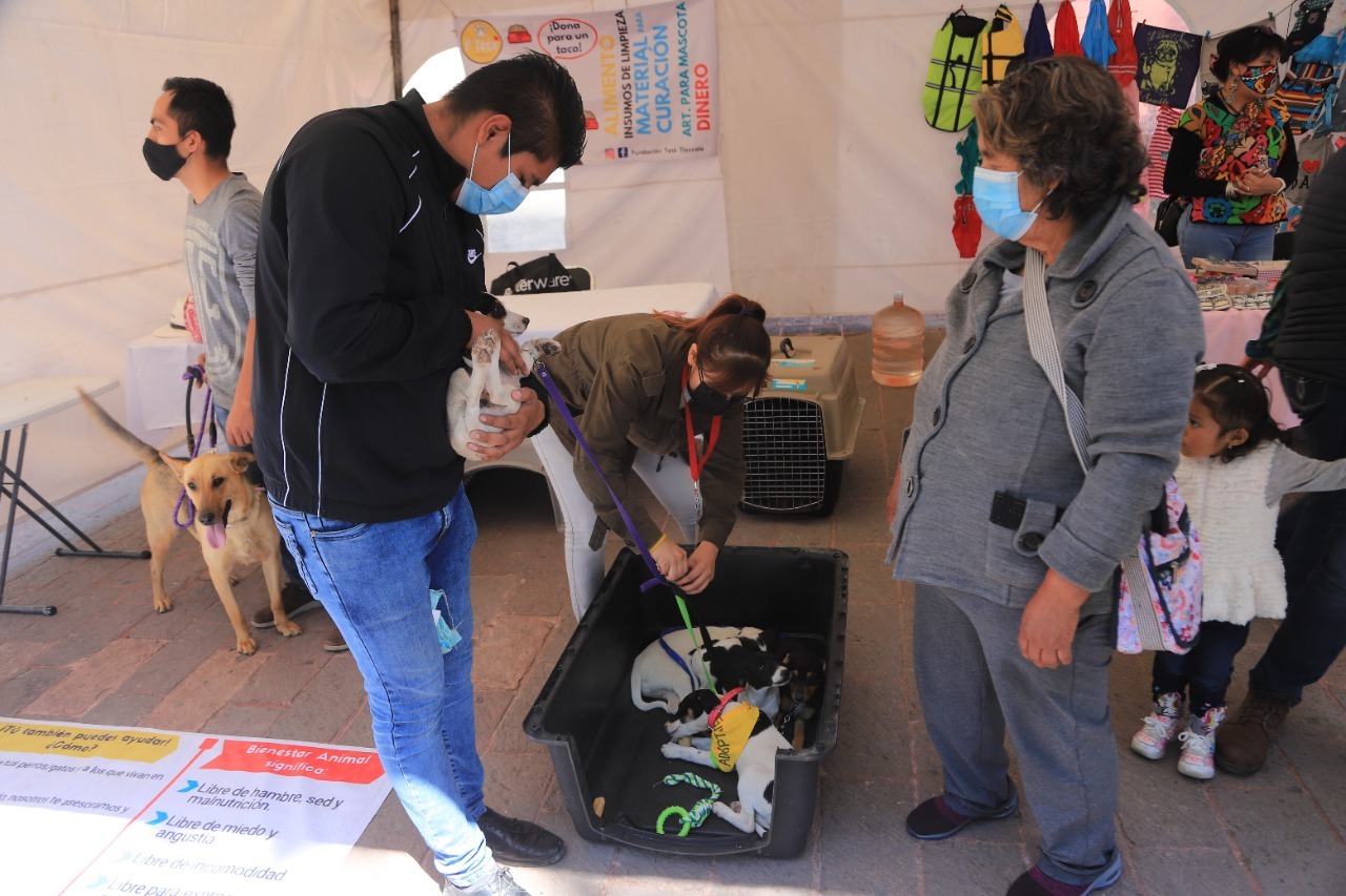 En el Día Internacional De La Familia la Secretaría de Bienestar Tlaxcala promovió el cuidado y respeto animal