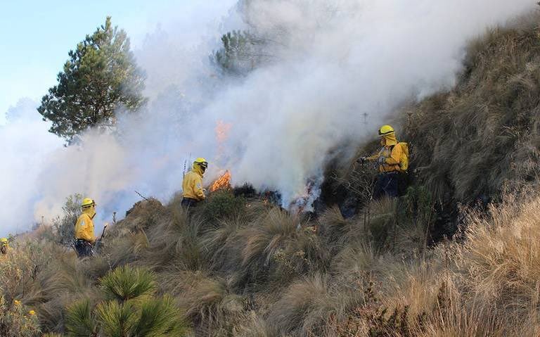 En Puebla hay 4 incendios forestales activos en zonas de acantilados