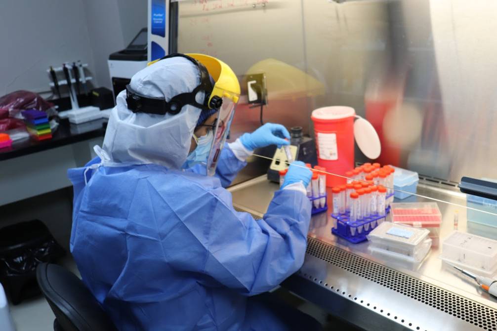 Confirma OMS 80 casos de viruela del Mono en 11 países 