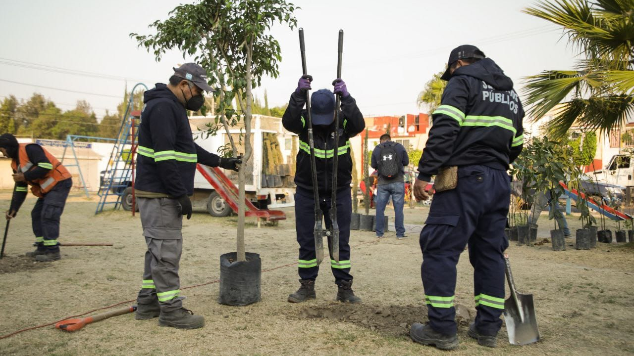 Ayuntamiento de San Andrés Cholula plantó 100 árboles en la colonia Emiliano Zapata 