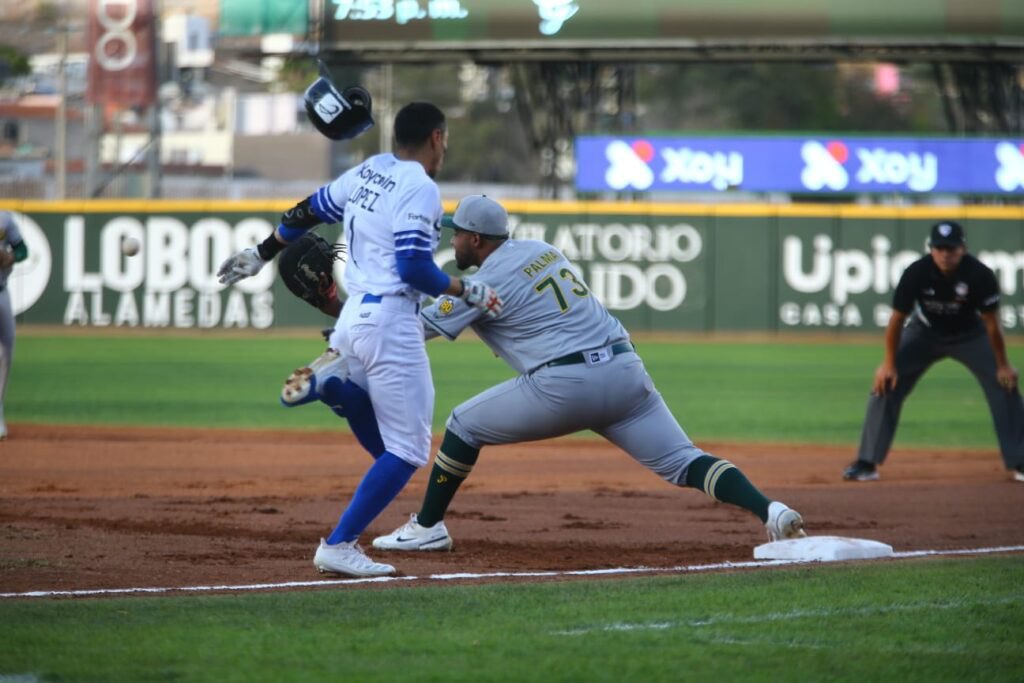Desplumaron a Pericos en Durango