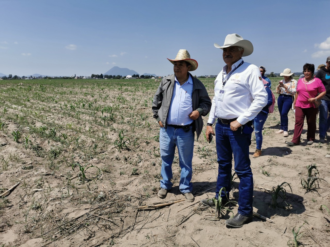 Trabaja SIA por el sector agropecuario sin limitar o condicionar apoyos
