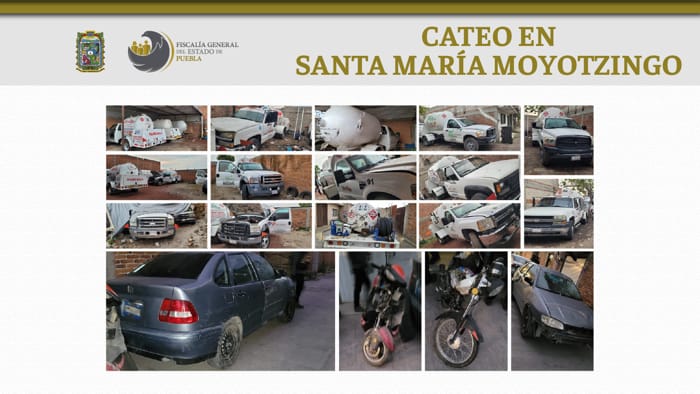 cateo moyotzingo2