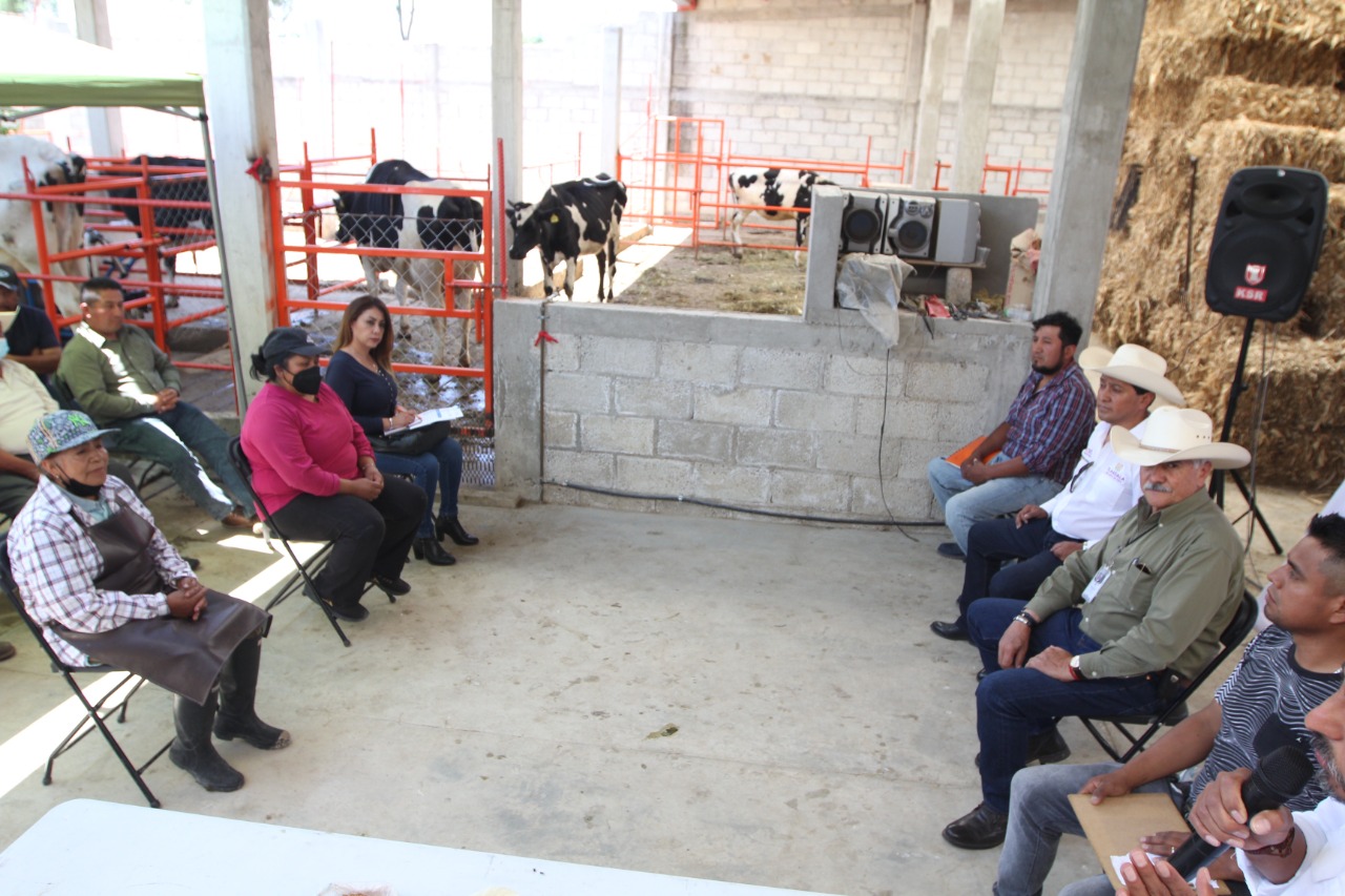 Con asistencia técnica y capacitación se produce leche de calidad: SIA