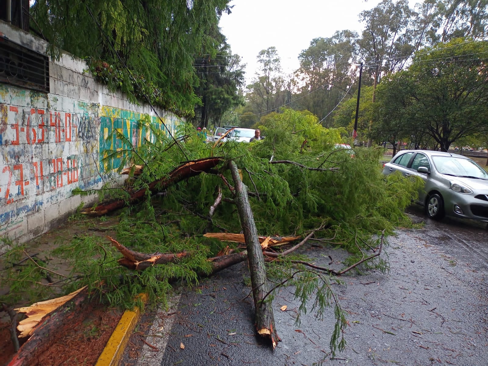 Apresuran trabajos de auxilio por lluvias en capital tlaxcalteca