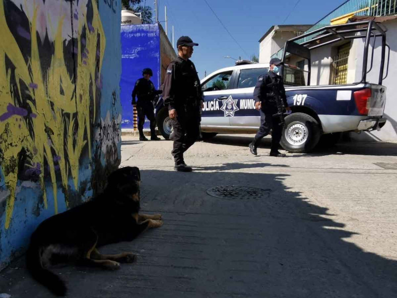 Perro paseaba en calles de Oaxaca con un brazo humano en el hocico