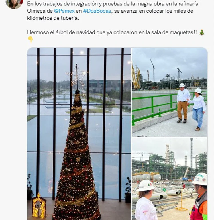 arbol dos bocas