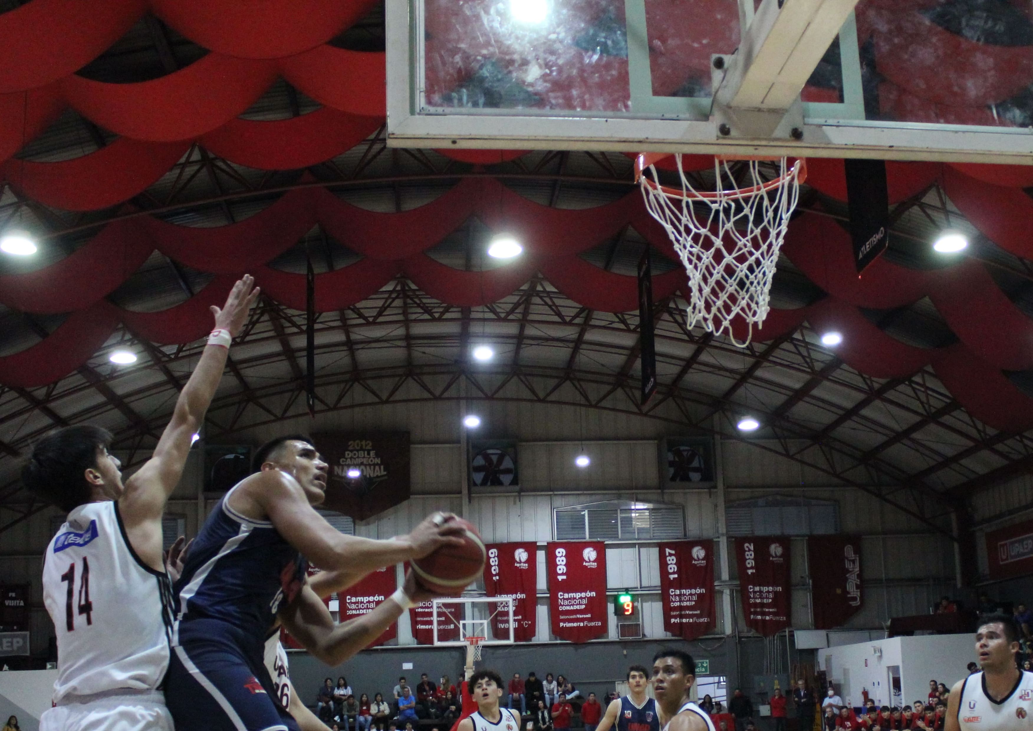 Tigres UMAD sigue mandando en la Liga ABE 