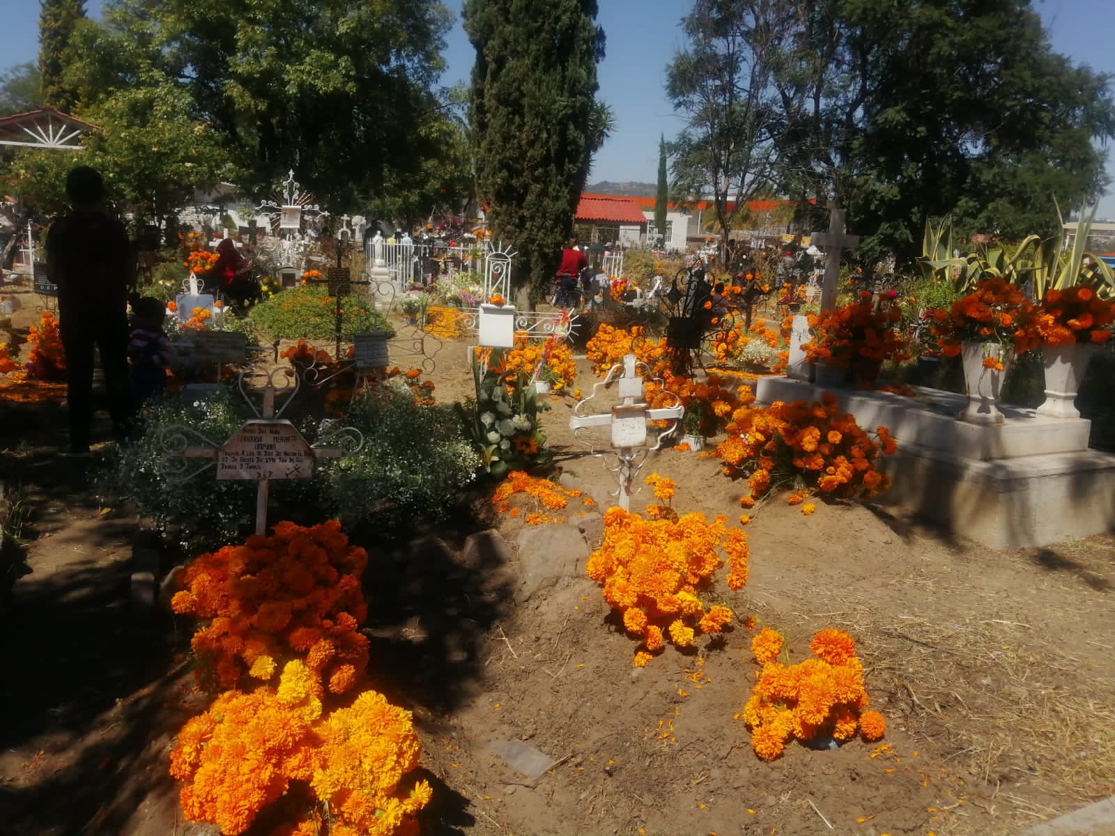 Enfermedades cardíacas, COVID y diabetes: principales causas de muertes de tlaxcaltecas