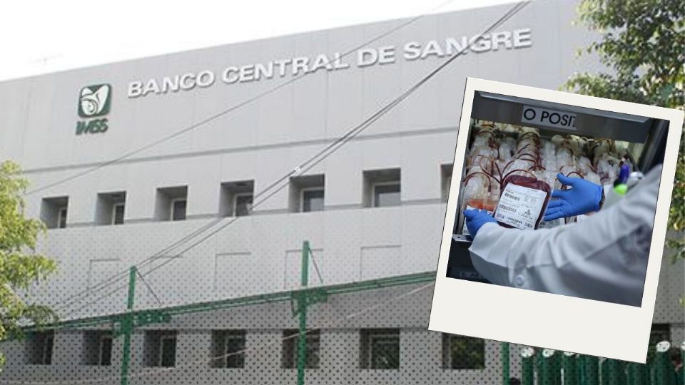 Cártel de los Chupasangre ¿Cómo opera en México y quiénes lo conforman?