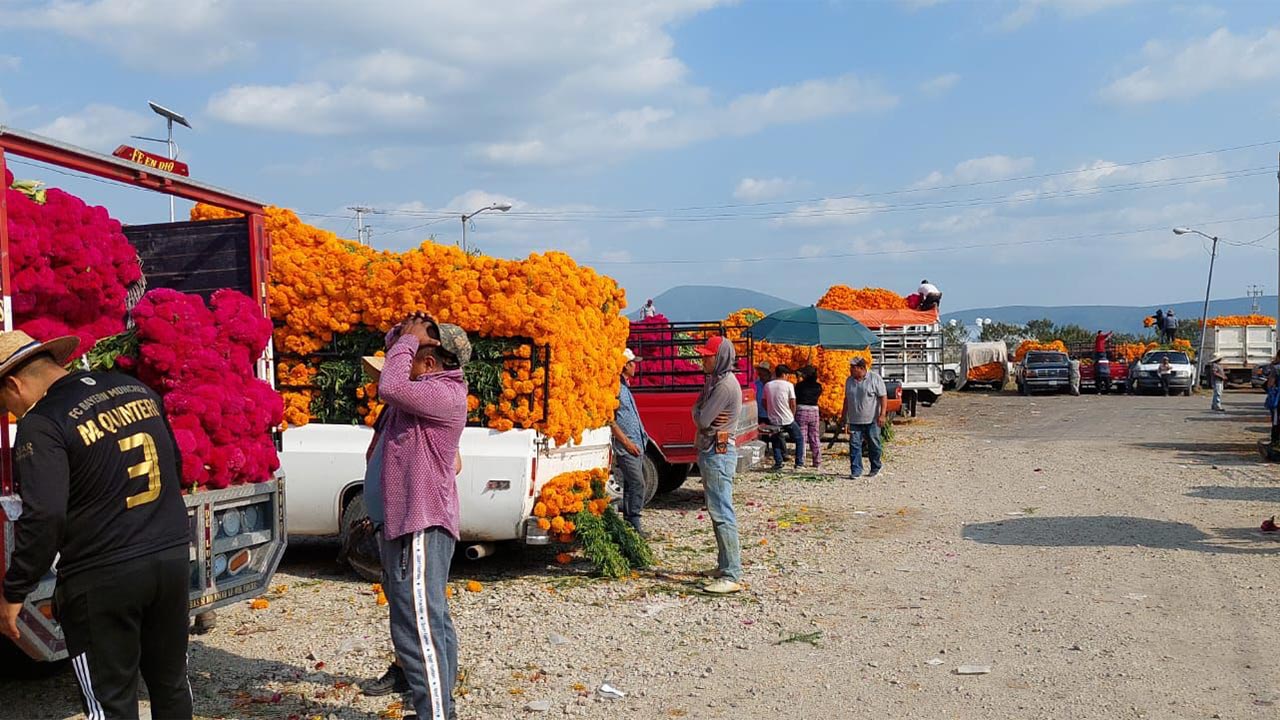 Atlixco registró más de 124 mdp en derrama económica por la venta de flor de temporada de Día de Muertos