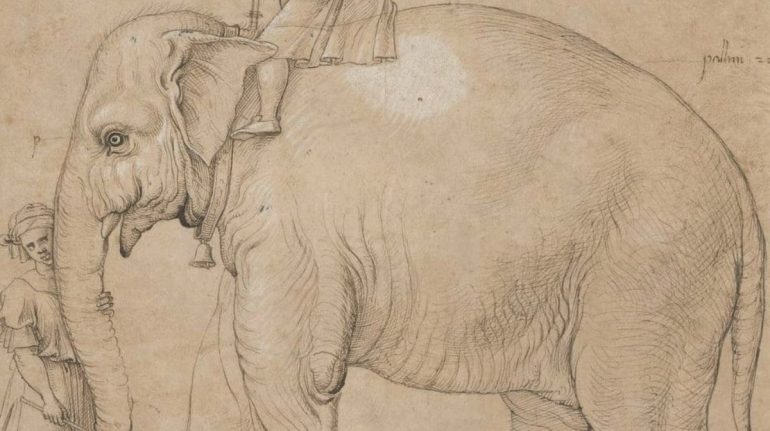 El día que encontraron los restos de un elefante sepultado en el vaticano