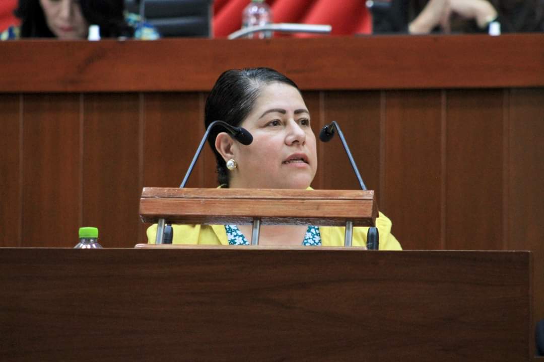 Pide Blanca Águila a diputados federales frenar militarización del país