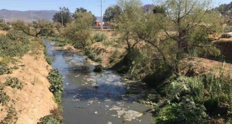 Presentan iniciativa para que municipios emprendan políticas ambientales