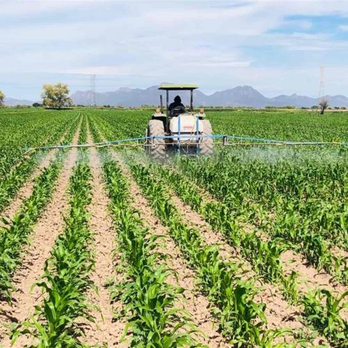 Buscará SIA que presupuesto para el campo en 2023 sea de 400 mdp