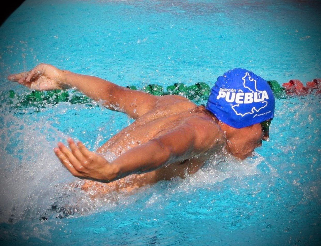 Romero, Avelino, Blanco y Serrano, los ganadores del Premio Estatal del Deporte 