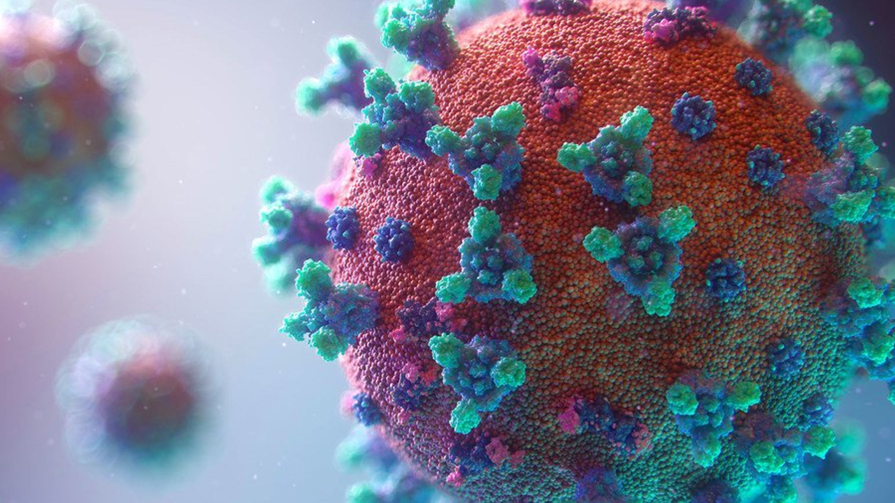 En Estados Unidos; “temen” por las nuevas variantes de COVID BQ.1 y BQ.1.1 