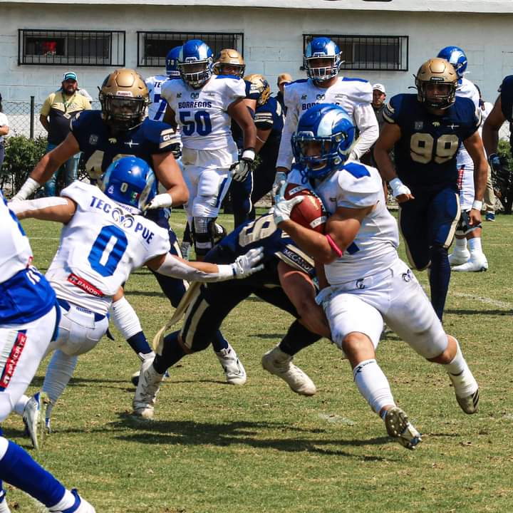 Borregos Puebla ganó su boleto a playoffs en la Liga Mayor de la Onefa .