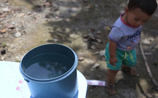 Afirman que los casos de dengue en el estado de Puebla se han ido reduciendo