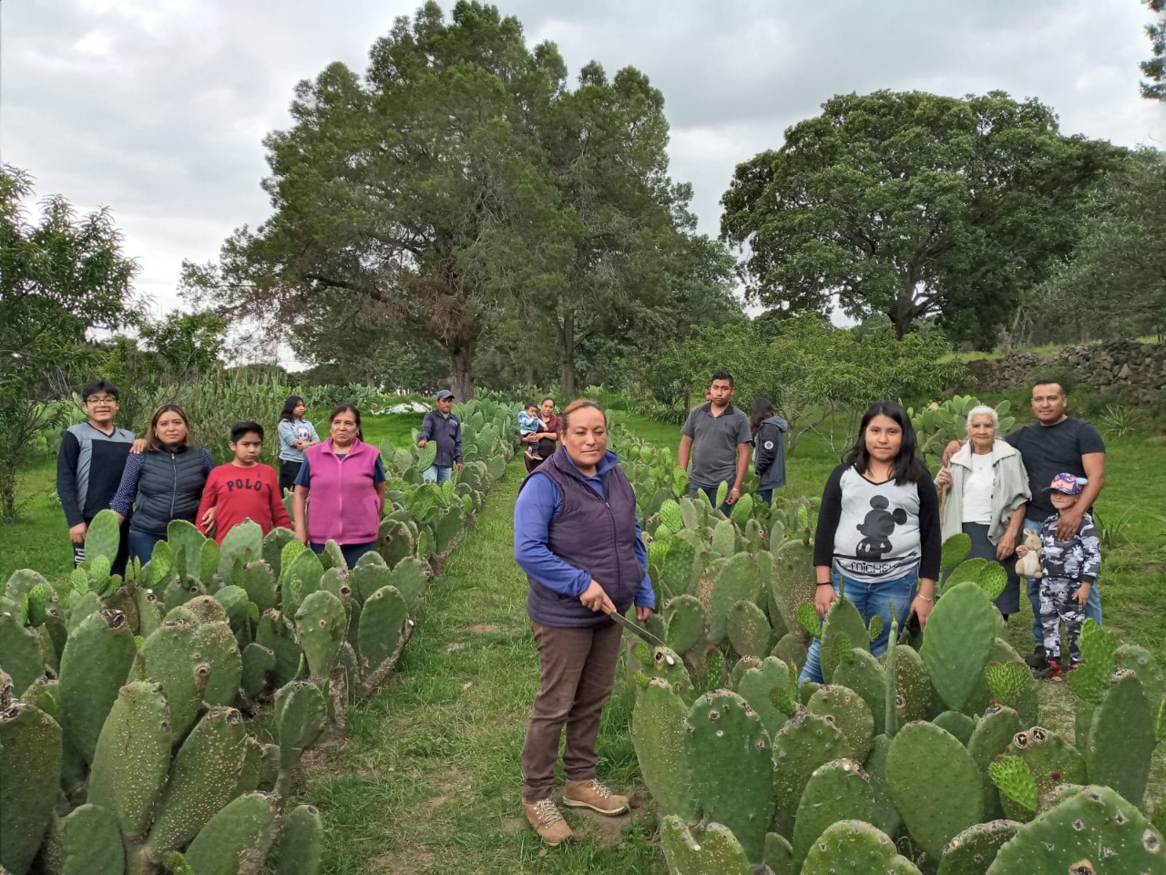 Presenta SIA tres convocatorias en el Marco Del Día Del Nopal Y La Tuna